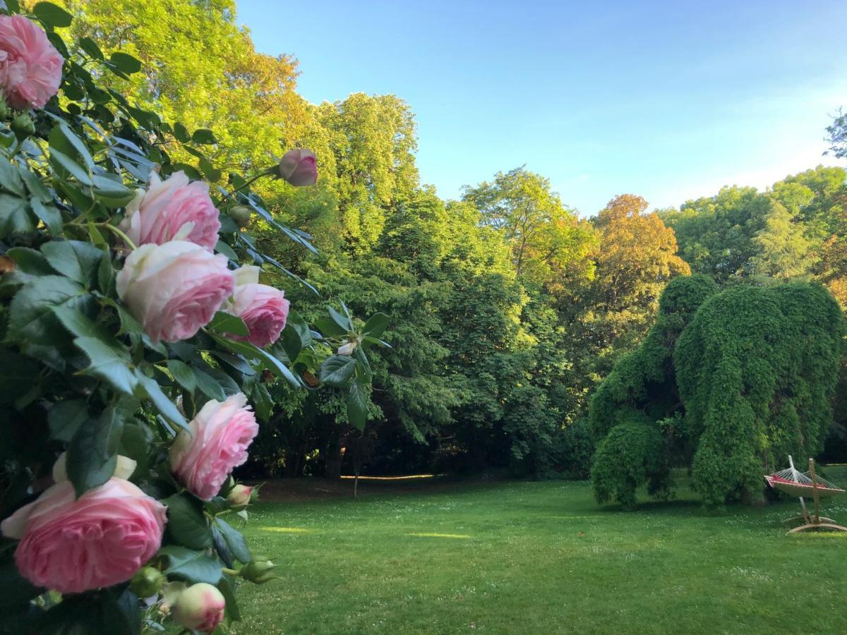 Le Chateau D'Hermonville B&B / Chambres D'Hotes エクステリア 写真