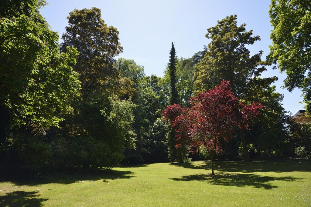 Le Chateau D'Hermonville B&B / Chambres D'Hotes エクステリア 写真